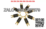 Cầu chì 170M1571D, 250A - 690V