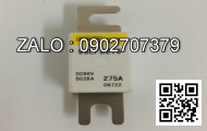Cầu chì 170M1571D, 250A - 690V