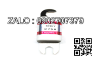 Cầu chì 170M1571D, 250A - 690V