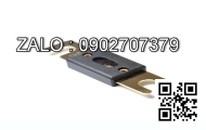 Cầu chì 170M1571D, 250A - 690V
