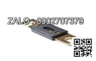 Cầu chì 170M1571D, 250A - 690V