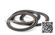 Oil seal GSJ- 95X125X14 95*125*14