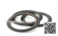 Oil seal GSJ- 95X125X14 95*125*14