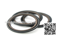 Oil seal GSJ- 95X125X14 95*125*14