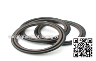 Oil seal GSJ- 95X125X14 95*125*14