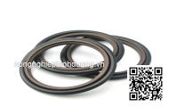 Oil seal GSJ- 95X125X14 95*125*14