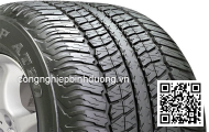 Lốp xe 205/55R16 Delinte