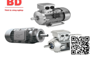 Motor điện 3 pha 0.55KW - 0.75HP 4 cực điện