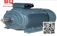 Motor điện 3 pha 0.55KW - 0.75HP 4 cực điện