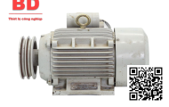 Motor điện 3 pha 0.55KW - 0.75HP 4 cực điện