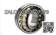 Vòng bi 6224ZZ NTN