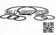 Bac nhua Teplong 155*8*1.5mm