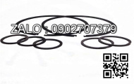 Bac nhua Teplong 155*8*1.5mm