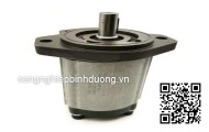 Bơm thủy lực -BW6BA6V250B1