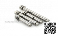 Tắc Kê Inox 304 M10, M12, M14