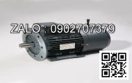 Motor giảm tốc DKM 9GBK60BMH