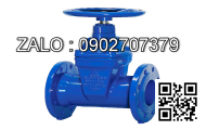 Van cổng ty nổi - ARV Malaysia DN2-1/2