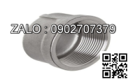 Nắp răng trong BSPT - mạ kẽm DN40