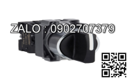 Công tắc Generac RTSN100K3