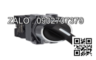 Công tắc Generac RTSN100K3