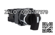 Công tắc Generac RTSN100K3