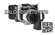 Công tắc Generac RTSN100K3