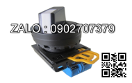 Công tắc Generac RTSN100K3