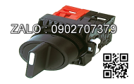 Công tắc Generac RTSN100K3