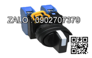Công tắc Generac RTSN100K3