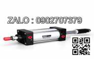 Xi lanh thủy lực AMF3-TS-180/110-100-B2