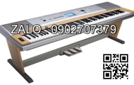 Đàn Organ Casio CTK-4000