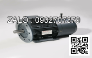 Motor giảm tốc DKM 9IDGG-200FW-T