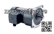 Motor giảm tốc 3 pha chân đế Wanshsin GH32-1500W-20S