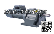 Motor giảm tốc DKM 9IDDG-200F-T