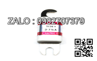 Fuse A22A2-40900D-60A-Y