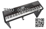 Đàn Organ Casio WK-8000