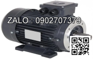 Motor giảm tốc DKM 9IDGK-200FW-T