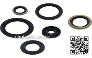 Oil Seal - Front Z-1-09625-438-0