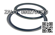 Oil Seal - Front Z-1-09625-438-0