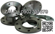 Mặt bích ( flange ) JIS 20K DN300 DN450mm