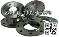 Mặt bích ( flange ) JIS 20K DN10 DN3