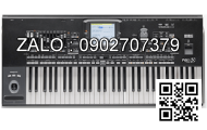 Đàn Casio WK-225