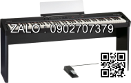 Đàn Organ Casio WK-6500