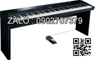 Đàn Organ Casio LK-270