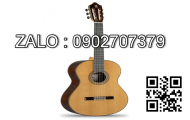 Đàn Acoustic Guitar AGW4107C