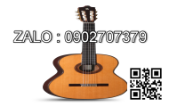 Đàn guitar LD-14 4/4