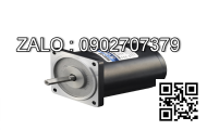 Motor giảm tốc 3 pha chân đế Wanshsin GH22-100W-120S