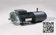 Motor giảm tốc 3 pha mặt bích TransmaX 200W 1/25 18mm