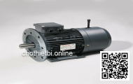 Motor giảm tốc DKM 7GBD25BMH