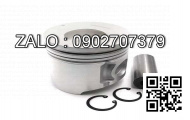 piston động cơ FIAT GROUP 8220.02*900 , 6 CYL , CM3